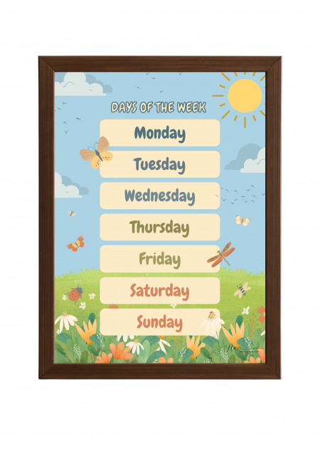 Days of the Week Sunshine a picture of Days of the Week